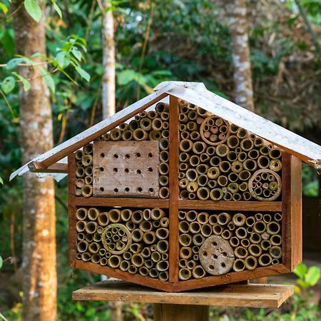 Bosque Guardian Lodge Tarapoto Zewnętrze zdjęcie
