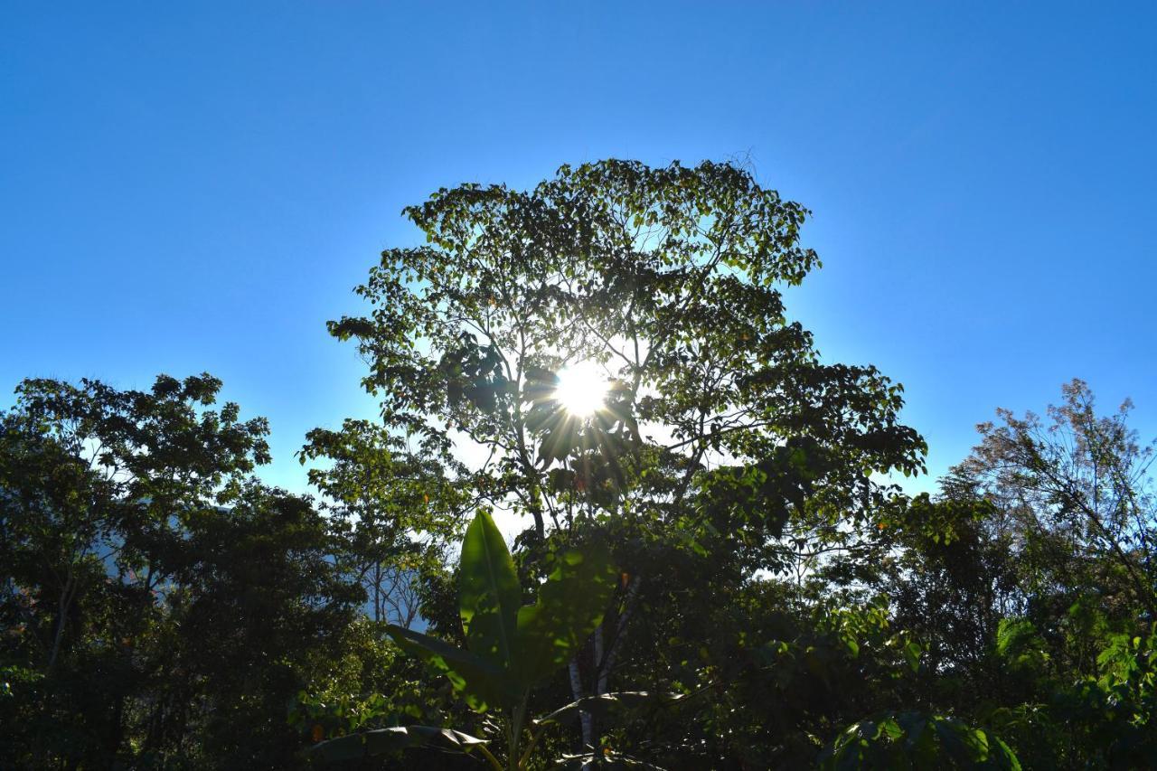 Bosque Guardian Lodge Tarapoto Zewnętrze zdjęcie
