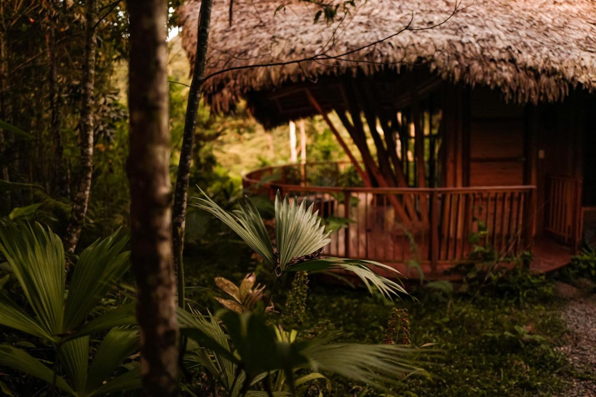Bosque Guardian Lodge Tarapoto Zewnętrze zdjęcie