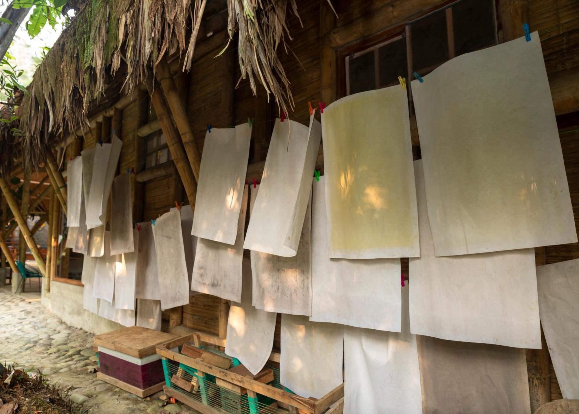 Bosque Guardian Lodge Tarapoto Zewnętrze zdjęcie