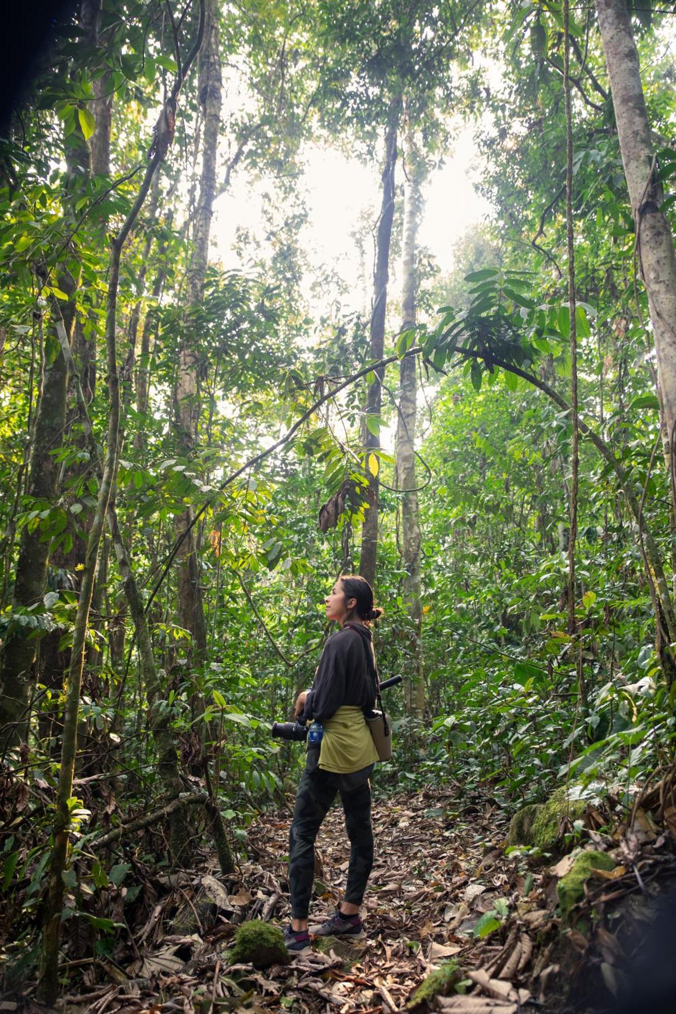 Bosque Guardian Lodge Tarapoto Zewnętrze zdjęcie