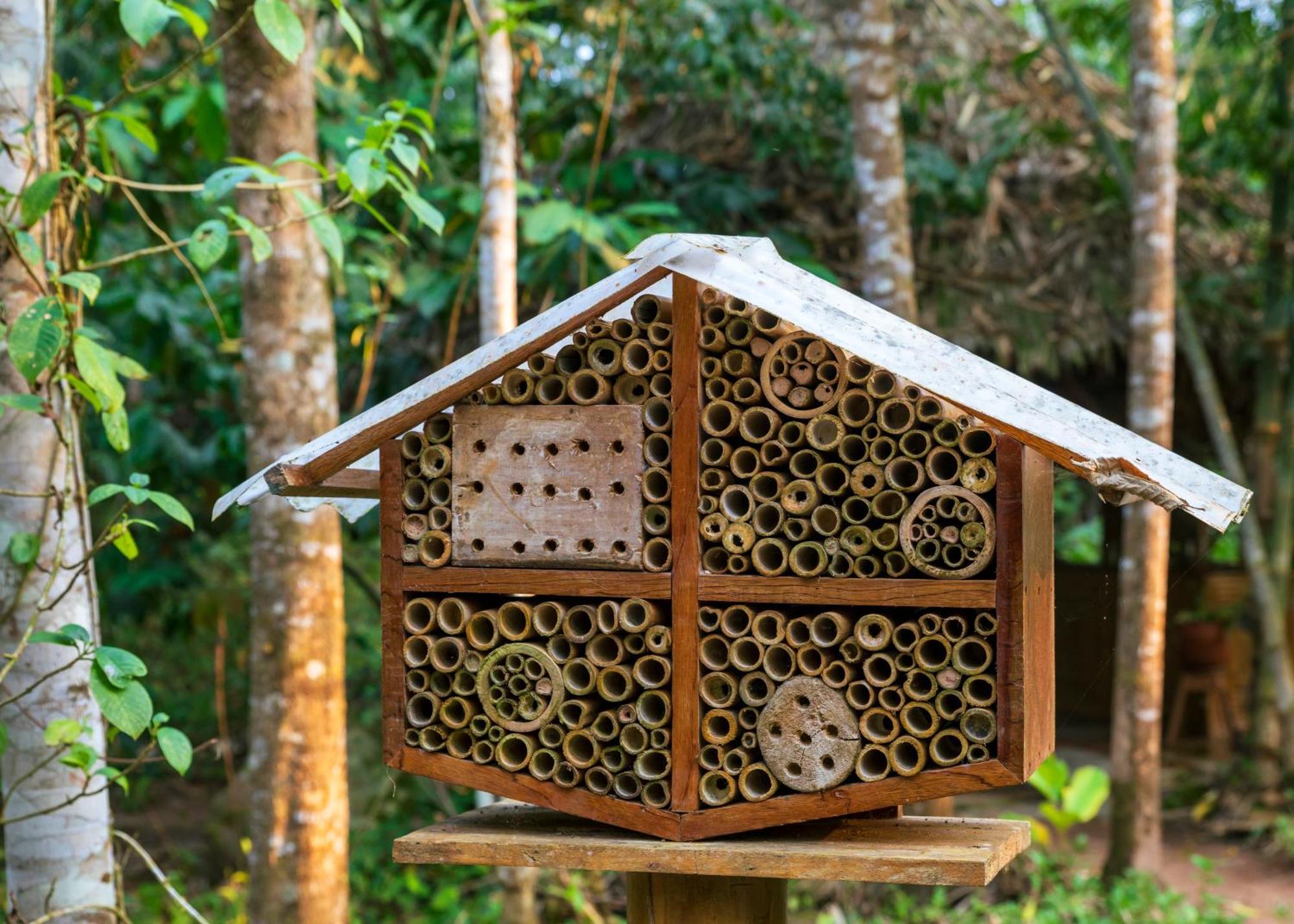 Bosque Guardian Lodge Tarapoto Zewnętrze zdjęcie
