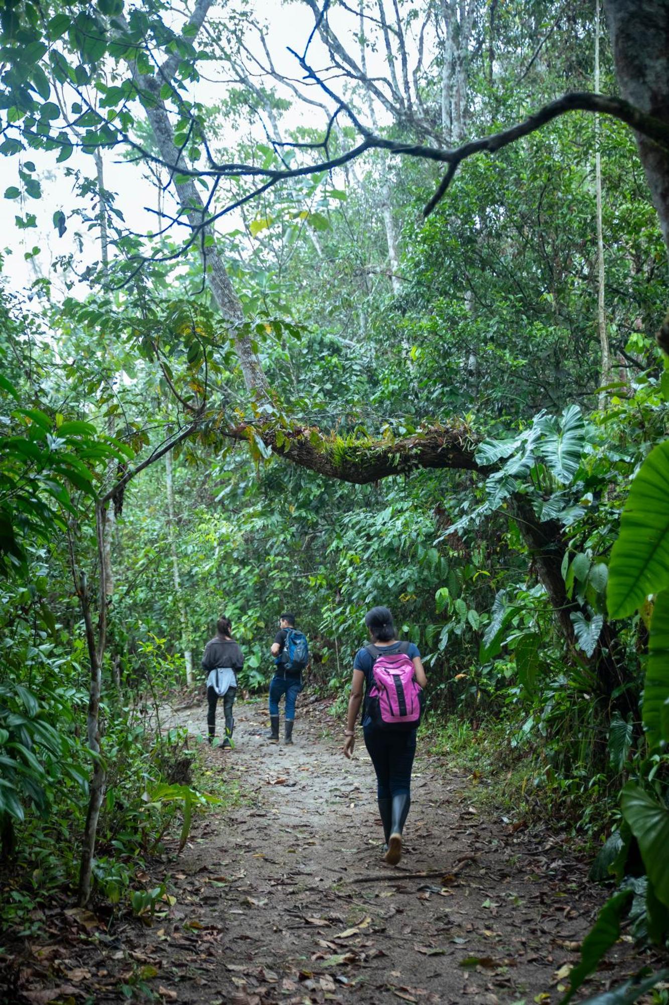 Bosque Guardian Lodge Tarapoto Zewnętrze zdjęcie
