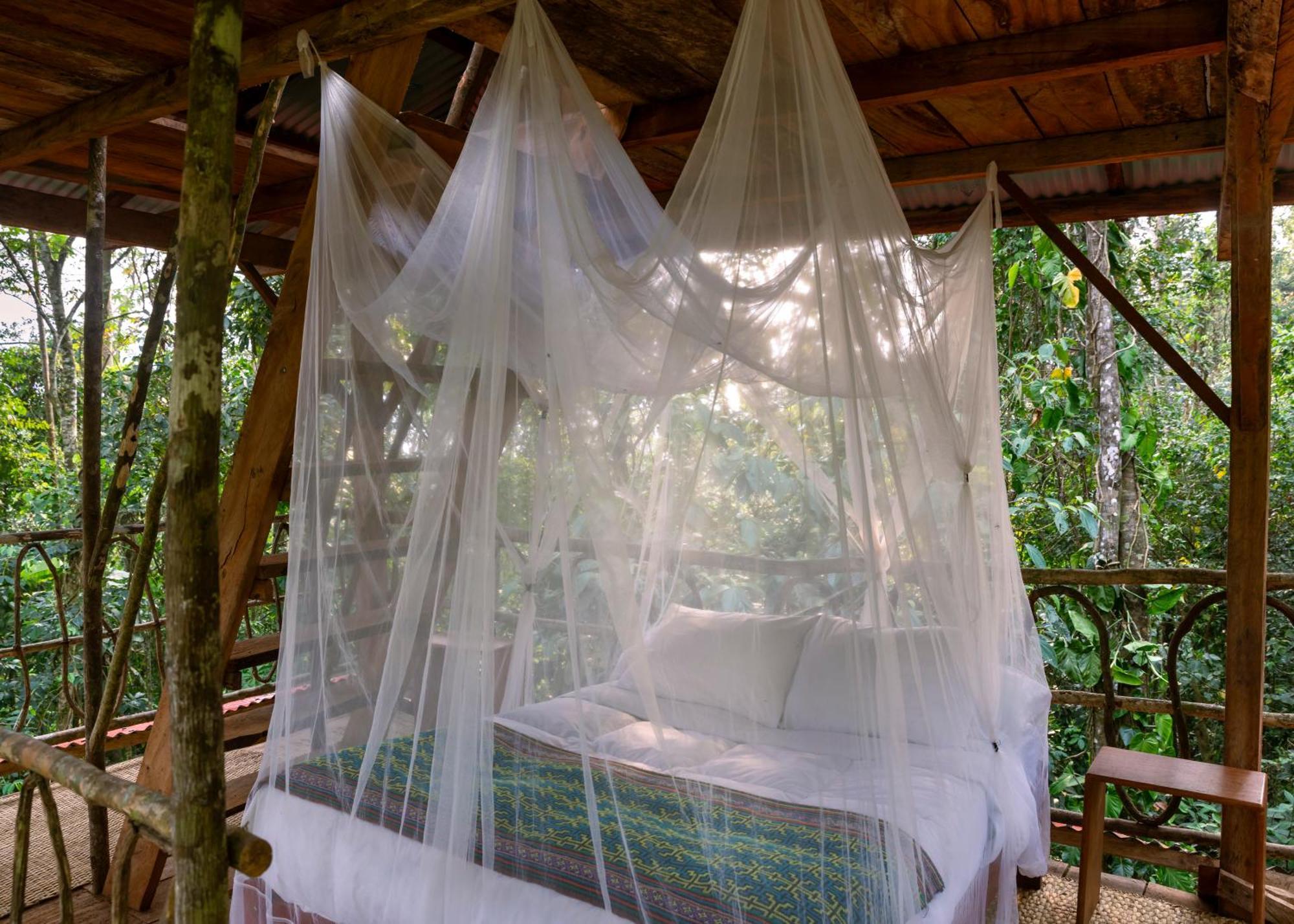 Bosque Guardian Lodge Tarapoto Zewnętrze zdjęcie