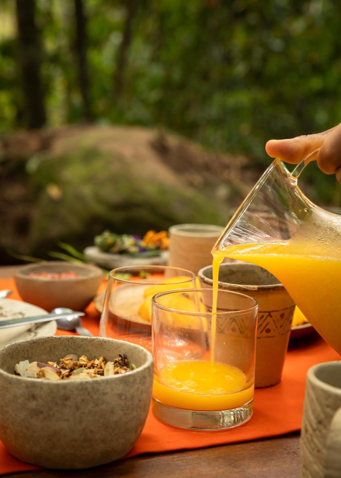 Bosque Guardian Lodge Tarapoto Zewnętrze zdjęcie