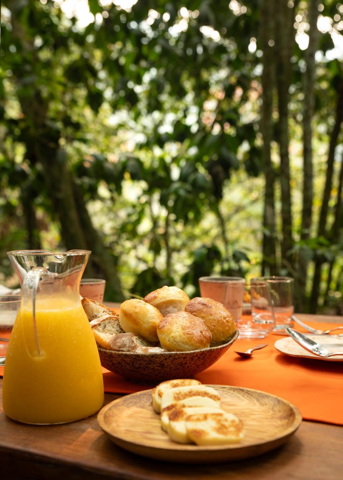 Bosque Guardian Lodge Tarapoto Zewnętrze zdjęcie