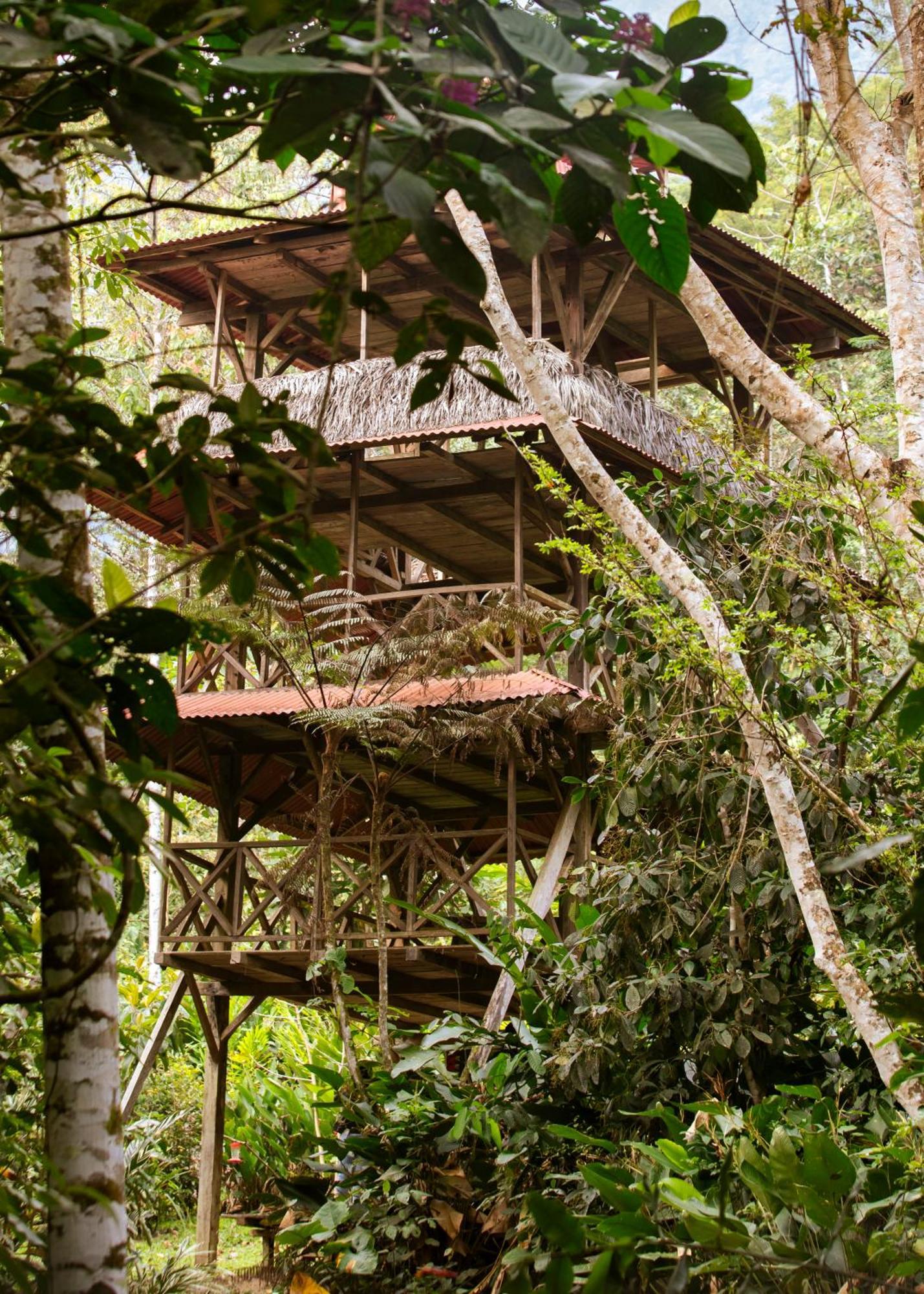 Bosque Guardian Lodge Tarapoto Zewnętrze zdjęcie