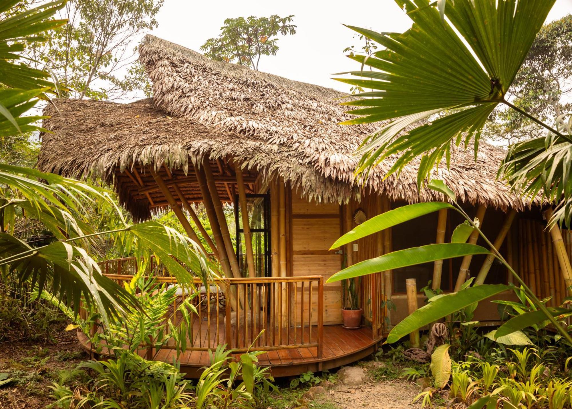 Bosque Guardian Lodge Tarapoto Zewnętrze zdjęcie
